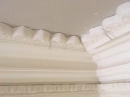 Caulfield Renovation and Cornices Reproduction