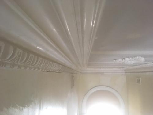 Caulfield Renovation and Cornices Reproduction