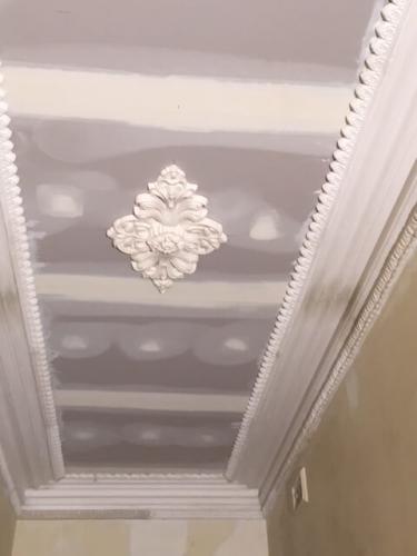 Caulfield Renovation and Cornices Reproduction